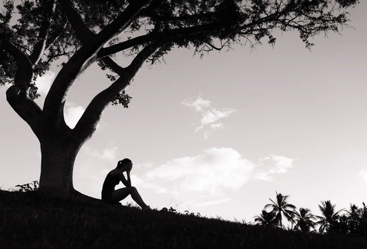 Spirit Counselling Sessions: A Path to Healing and Guidance
